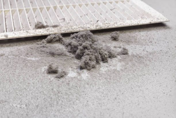 Best Air Duct Cleaning Company Near Me  in New Athens, IL