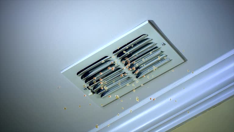 Best Air Duct Cleaning Near Me  in New Athens, IL