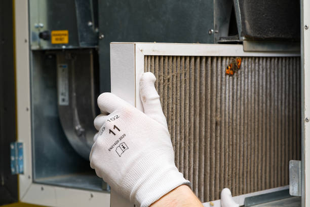 Best Home Air Vent Cleaning  in New Athens, IL