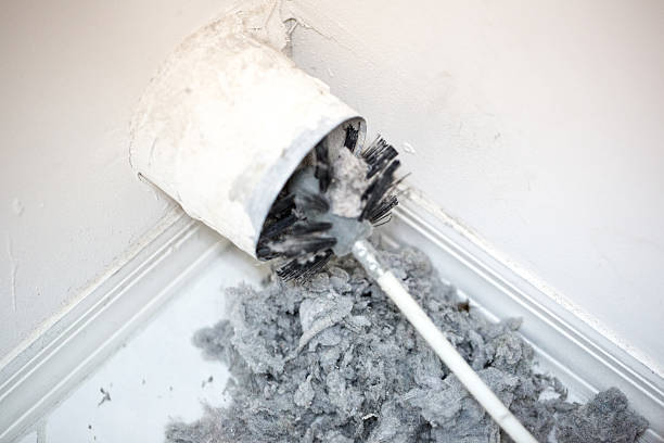 Best Air Vent Cleaning Services  in New Athens, IL