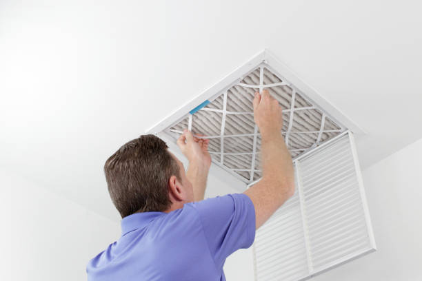 Best Professional Duct Cleaning Services  in New Athens, IL
